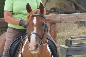 kaiyun体育app-世界青少年马术锦标赛中国骑手令人期待，全国青少年马术锦标赛